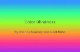Color Blindness By Brianna Kearney and Juliet Ruhe.