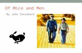 Of Mice and Men By John Steinbeck. Of Mice and Men Steinbeck wrote Of Mice and Men in 1937. America was in the middle of the Great Depression The Depression.