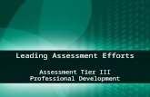Leading Assessment Efforts Assessment Tier III Professional Development 7.16.13.