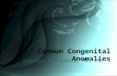 Common Congenital Anomalies Carolyn O’Donnell, MD, PGY-3.