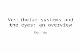 Vestibular systems and the eyes: an overview Ken Wu.