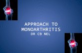 APPROACH TO MONOARTHRITIS DR CB NEL. “ Inflammation of a single joint” Acute Chronic.