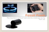 Fossil Fuels The importance of fossil fuels and the challenges facing their use.