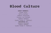 Blood Culture GROUP MEMBERS: Aimen Niaz Rafia Hafeez Adeena Shafique Zujaja tul Misbah Sammia Rehman Syeda Fatma H. Bukhari PRESENTED BY: Adeena Shaique.