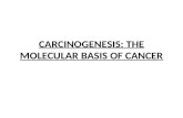 CARCINOGENESIS: THE MOLECULAR BASIS OF CANCER. Nonlethal genetic damage lies at the heart of carcinogenesis. Mutation) may be acquired by the action of.