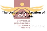 The Universal Declaration of Human rights Yunxi Wang, Annekatrin Nagel.
