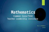 Mathematics Common Core/TASC Teacher Leadership Institute MR. AL PFAEFFLE 1/5/15.