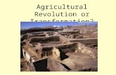 Agricultural Revolution or Transformation?. The Technology of Paleolithic Societies Early tools - wood, bones, animal skins, and stone, Tools provided.