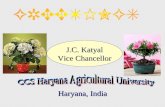 Haryana, India J.C. Katyal Vice Chancellor. South Asia (SA) Region As per the South Asian Association for Regional Cooperation (SAARC), SA comprises of.