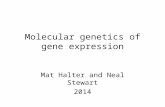 Molecular genetics of gene expression Mat Halter and Neal Stewart 2014.