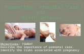 Objectives: TSWBAT Describe the importance of prenatal care. Identify the risks associated with pregnancy.