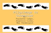 Pilgrimage to Guadalupe By: Paulette Campo, Angelica Cusma, Max Pendergast.