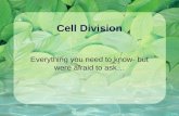 Cell Division Everything you need to know- but were afraid to ask…