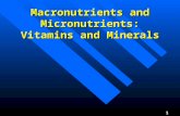 Macronutrients and Micronutrients: Vitamins and Minerals 1.