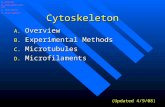 Cytoskeleton A. Overview B. Experimental Methods C. Microtubules D. Microfilaments (Updated 4/9/08) A. Overview B. Experimental Methods C. Microtubules.