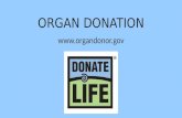 ORGAN DONATION . Warm-Up # 1.What do you already know about organ donation? 2.Why do you think someone would say “no” to organ donation?