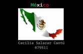 México Cecilia Salazar Cantú 679511. Location and size Mexico is a country located in North America and is bordered by the United States to the north,