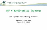 GEF Expanded Constituency Workshop Managua, Nicaragua March 3-4, 2015 GEF 6 Biodiversity Strategy.