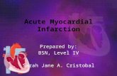 Acute Myocardial Infarction Prepared by: BSN, Level IV Sarah Jane A. Cristobal.