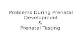 Problems During Prenatal Development & Prenatal Testing.