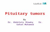 Pituitary tumors By Dr. Abdelaty Shawky Dr. Gehan Mohamed.