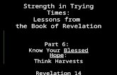 Strength in Trying Times: Lessons from the Book of Revelation Part 6: Know Your Blessed Hope: Think Harvests Revelation 14.