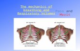 The mechanics of breathing and Respiratory Volumes Pass and Merit.
