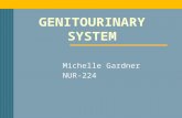 GENITOURINARY SYSTEM Michelle Gardner NUR-224. URINARY SYSTEM.