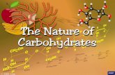 © SSER Ltd.. Carbohydrates are compounds of great importance in both the biological and commercial world They are used as a source of energy in all organisms.