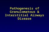 Pathogenesis of Granulomatous & Interstitial Airways Disease.