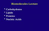 Biomolecules Lecture Carbohydrates Lipids Proteins Nucleic Acids.