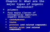 . Chapter 5: What are the major types of organic molecules? polymers polymers four major classes of biologically important organic molecules: four major.