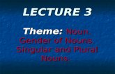 LECTURE 3 Theme: Noun. Gender of Nouns. Singular and Plural Nouns