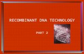 RECOMBINANT DNA TECHNOLOGY PART 2 Topics Genomic libraries Id a specific clone or sequence within a library Transgenic plants Transgenic animals Timely.