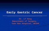 Early Gastric Cancer Dr. LF Hung Department of Surgery, Tuen Mun Hospital, HKSAR.