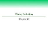Water Pollution Chapter 20. 20-1 What Are the Causes and Effects of Water Pollution?  Concept 20-1A Water pollution causes illness and death in humans.