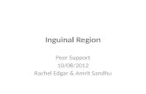 Inguinal Region Peer Support 10/08/2012 Rachel Edgar & Amrit Sandhu.