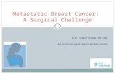 M.R. CHRISTIAENS MD PHD MULTIDISCIPLINAIR BORSTCENTRUM LEUVEN Metastatic Breast Cancer: A Surgical Challenge.