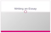 Writing an Essay. The Academic Essay The academic essay is composed of 3 parts: an introduction, the body, and a conclusion.