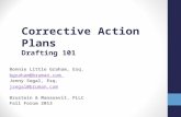 Corrective Action Plans Drafting 101 Bonnie Little Graham, Esq. bgraham@bruman.com Jenny Segal, Esq. jsegal@bruman.com Brustein & Manasevit, PLLC Fall.