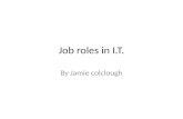 Job roles in I.T. By Jamie colclough. Software engineer Also known as application programmer, software architect, system programmer, system engineer.