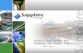 Policy Challenges for Growing the Algae Industry April 2014.