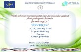PROJECT LIFE12 ENV/IT/000336 “Anti-infective environmental friendly molecules against plant pathogenic bacteria for reducing Cu” “AFTER Cu” Start: 01/01/2014.