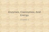 Enzymes, Coenzymes, And Energy Chapter 5. Nutrients Nutrients are molecules required by organisms for growth, reproduction, or repair. Nutrients are a.