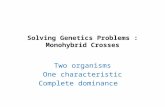 Solving Genetics Problems : Monohybrid Crosses Two organisms One characteristic Complete dominance.