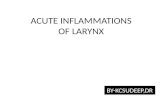 ACUTE INFLAMMATIONS OF LARYNX BY-KCSUDEEP,DR Anatomy Clinical subdivision – Supraglottis: from epiglottic tip to floor of laryngeal ventricle. – Glottis: