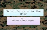 Scout Snipers in the USMC By: Briana Riley Nagel.