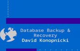 Database Backup & Recovery David Konopnicki. Introduction A major responsibility of the database administrator is to prepare for the possibility of hardware,