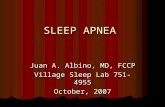 SLEEP APNEA Juan A. Albino, MD, FCCP Village Sleep Lab 751-4955 October, 2007.