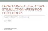 FUNCTIONAL ELECTRICAL STIMULATION (FES) FOR FOOT DROP Evidence-based Practice Workshop June 2015 Northeastern University Megan Helfrich.